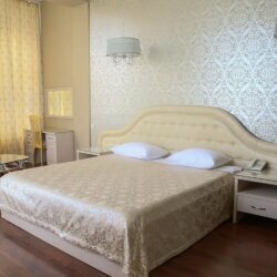 Гостиница Luxor Ессентуки-78