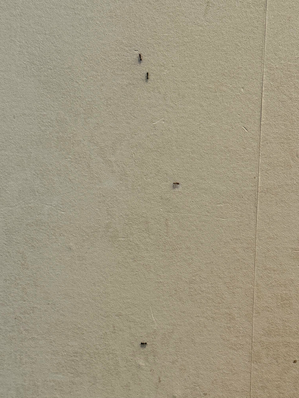 Гостиница Luxor Ессентуки-133