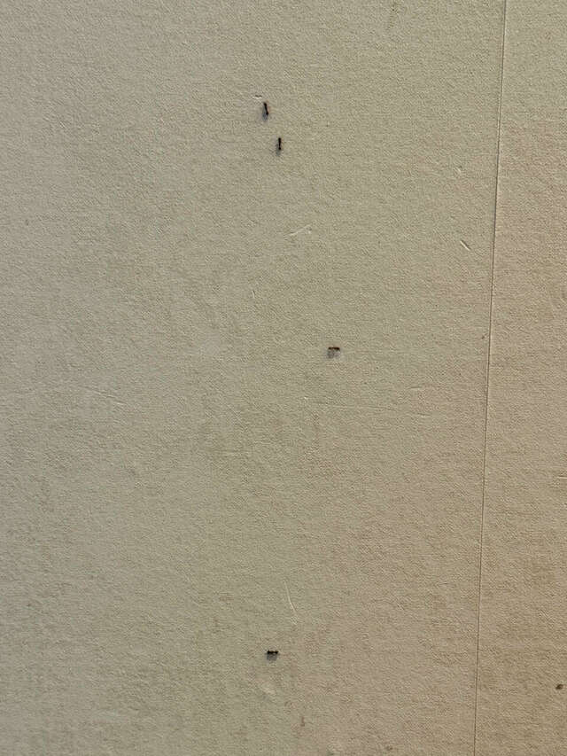 Гостиница Luxor Ессентуки-132